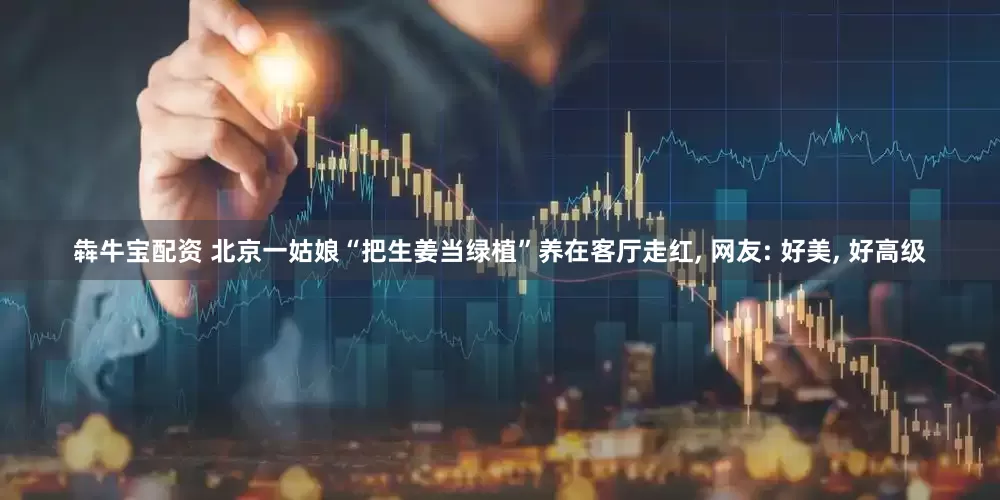 犇牛宝配资 北京一姑娘“把生姜当绿植”养在客厅走红, 网友: 好美, 好高级